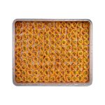 Fıstıklı Bülbül Yuvası