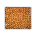 Cevizli Bülbül Yuvası