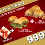 Fıstıklı ve Cevizli Baklava Fırsat 500g – Karışık Baklava Seti