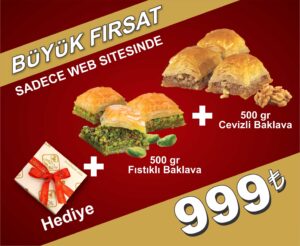 Fıstıklı ve Cevizli Baklava Fırsat 500g – Karışık Baklava Seti